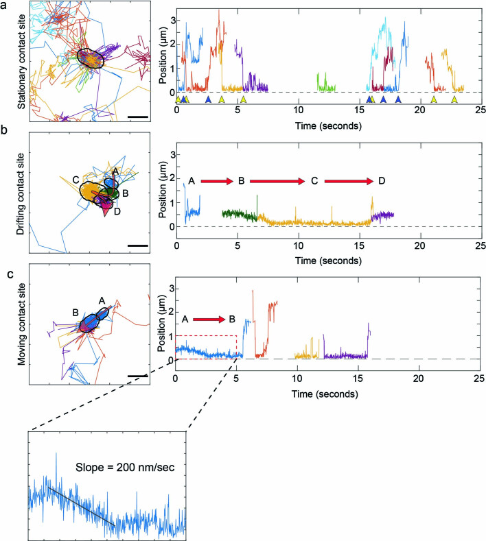 Extended Data Fig. 5