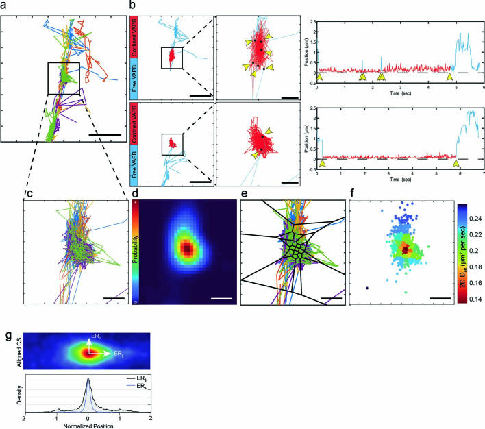 Extended Data Fig. 6