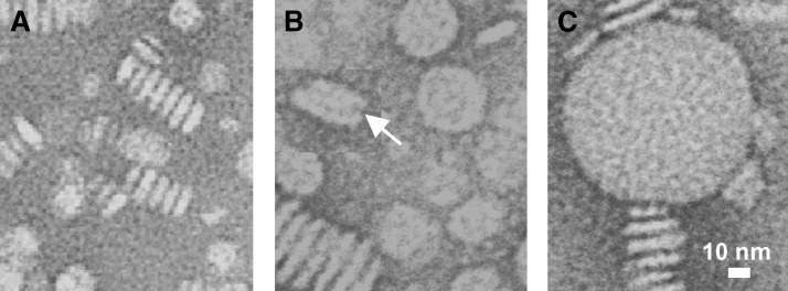 Fig. 3.