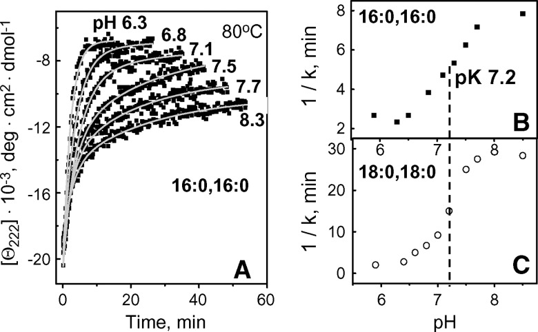 Fig. 8.