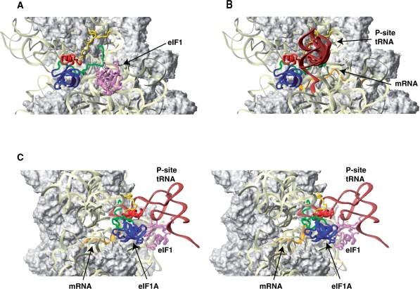 Figure 6.