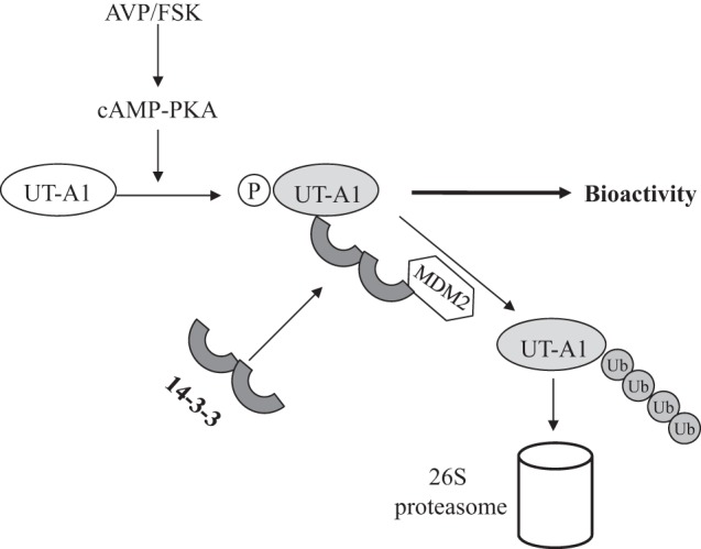 Fig. 9.