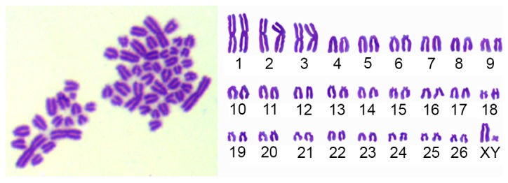 Figure 6.