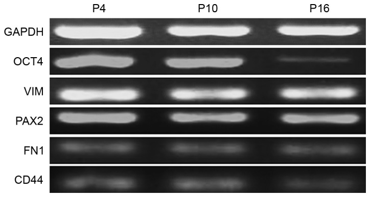 Figure 5.