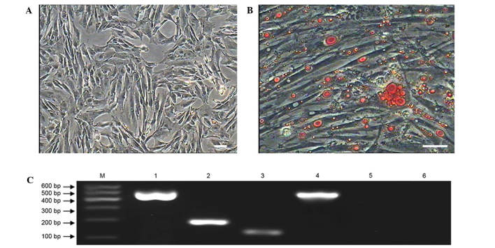 Figure 7.