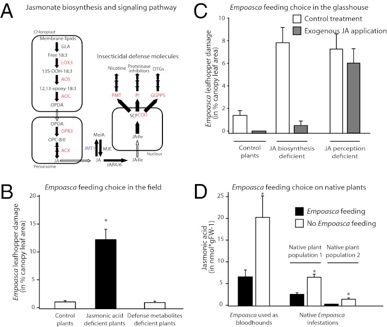 Fig. P1.