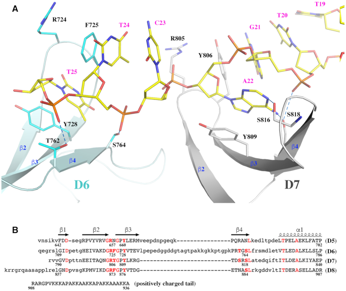 Figure 4.