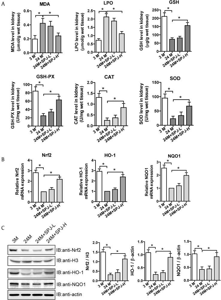 Fig. 6