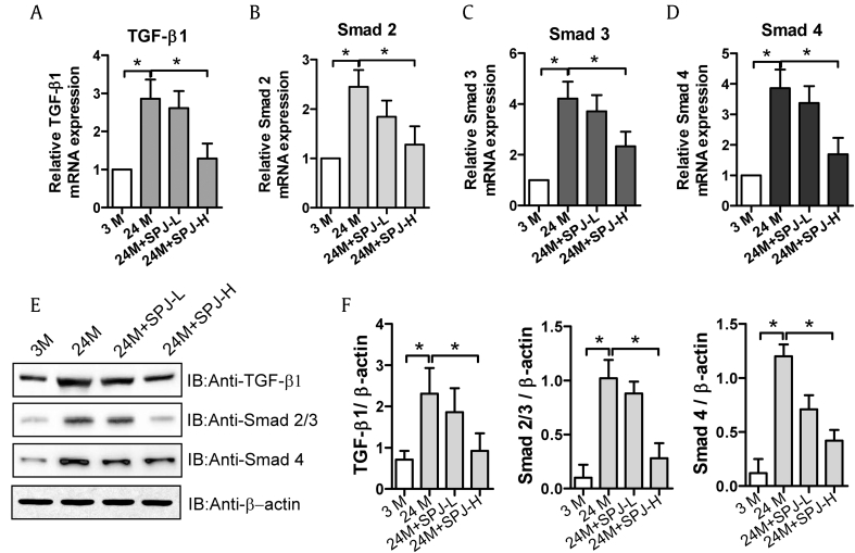 Fig. 4