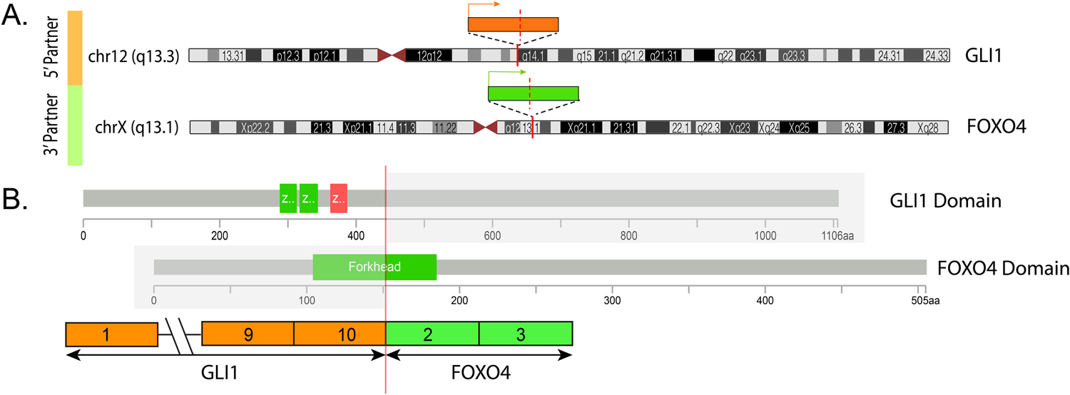 Figure 5.