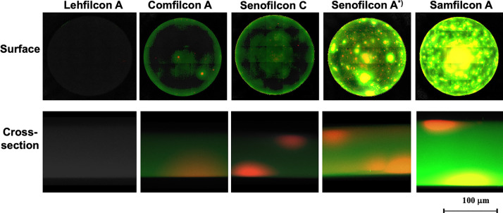 Figure 12