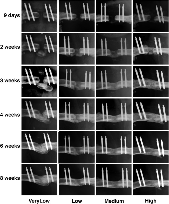 Fig. 2-A