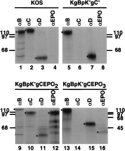 FIG. 7