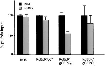 FIG. 10