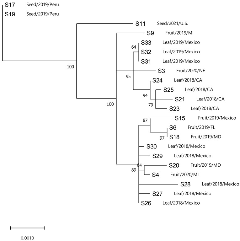 Figure 2