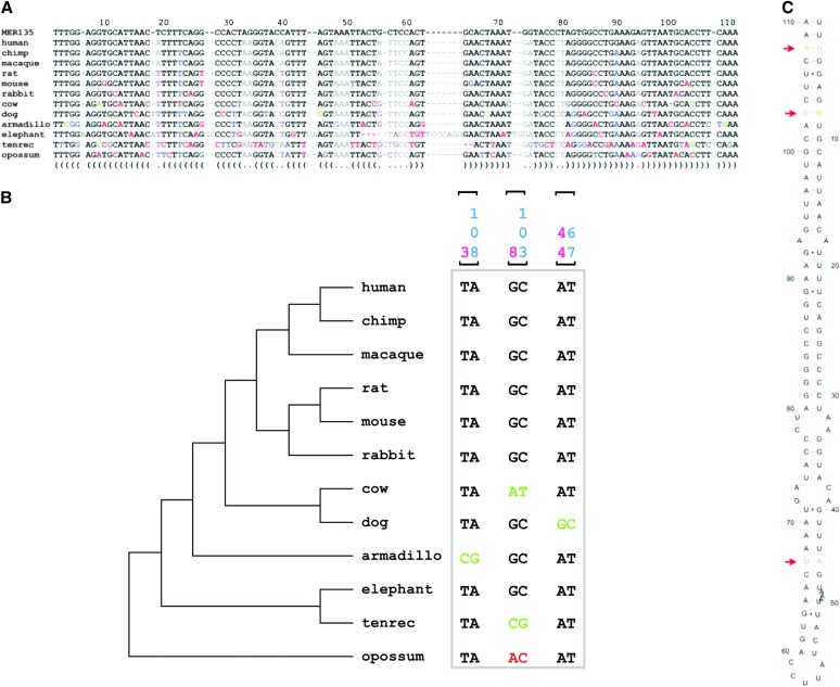 Figure 7.—