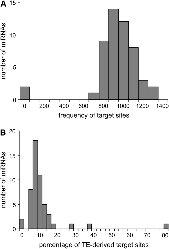 Figure 5.—