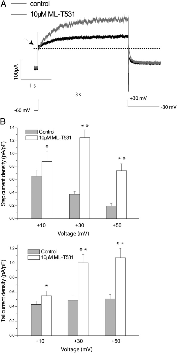 Fig. 4.