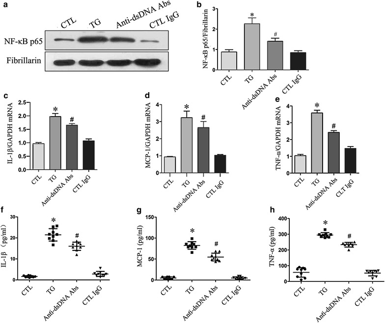 Figure 4