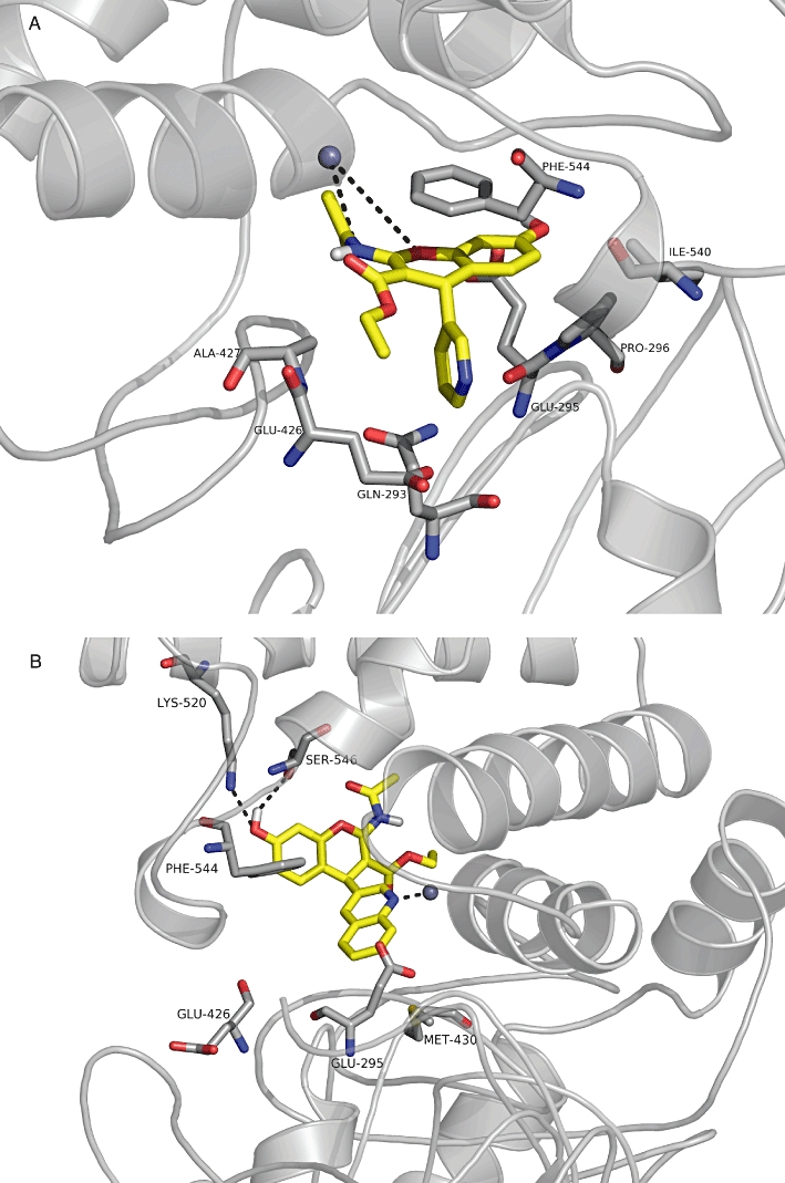 Figure 4