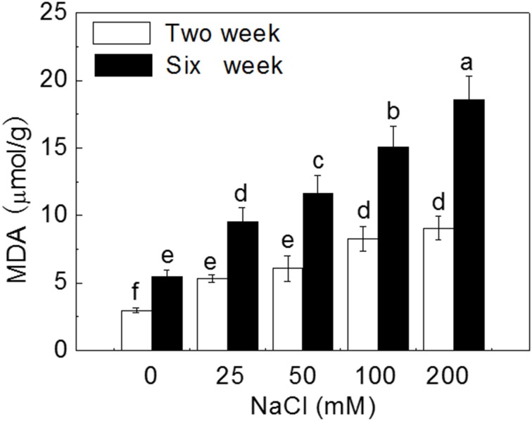 Figure 6