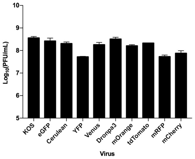 Fig. 3
