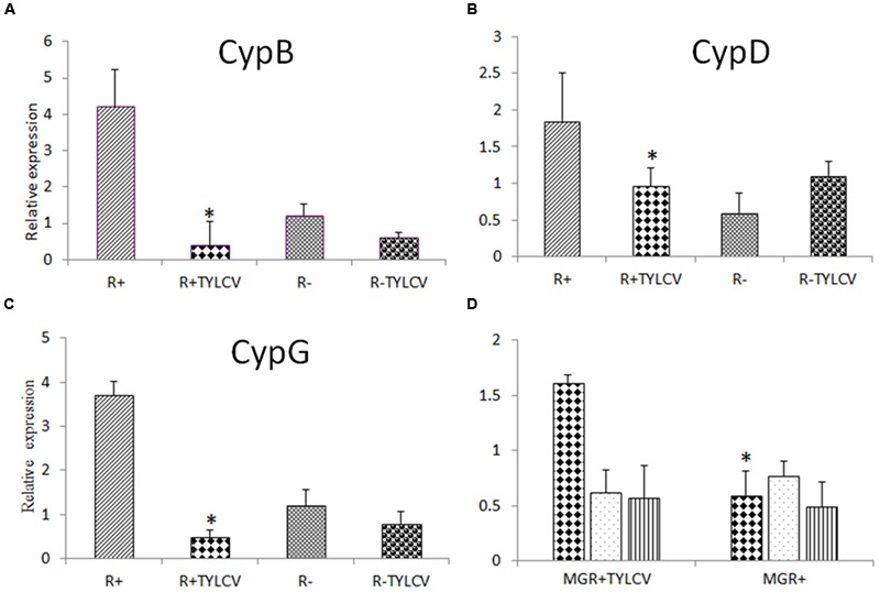 FIGURE 3