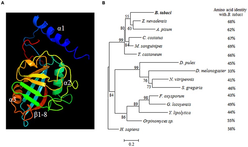 FIGURE 2