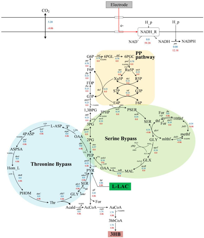 FIGURE 9