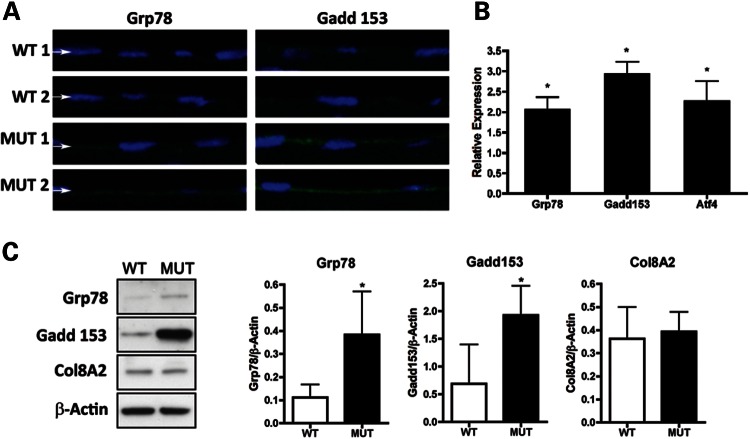 Figure 4.