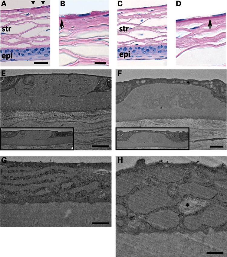 Figure 3.