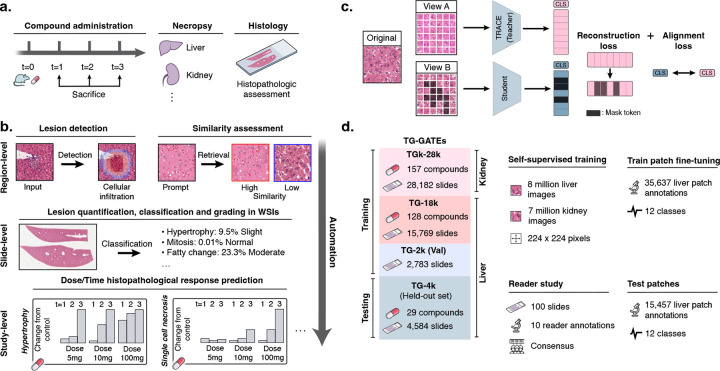 Figure 1: