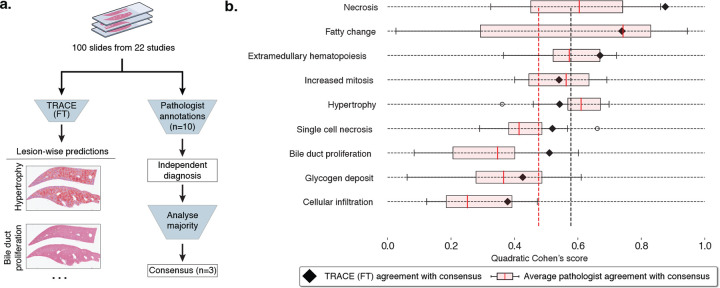 Figure 4: