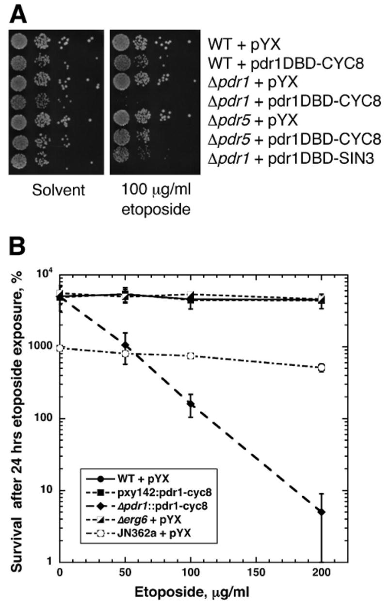 Figure 5