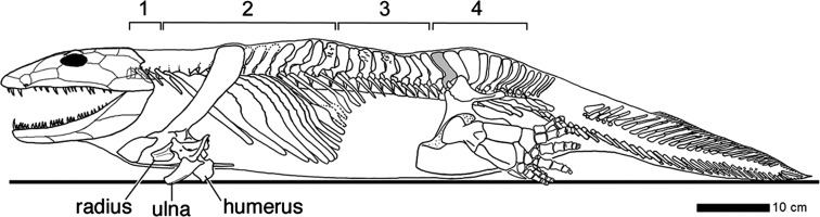 Fig. 1