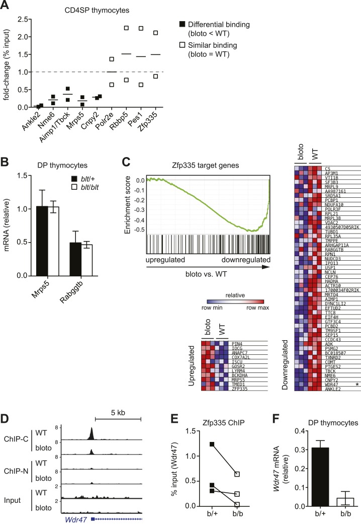 Figure 6—figure supplement 1.