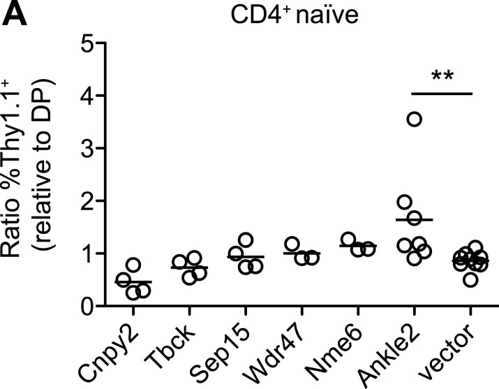 Figure 8—figure supplement 1.