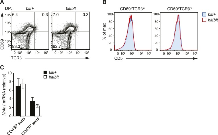 Figure 4—figure supplement 1.