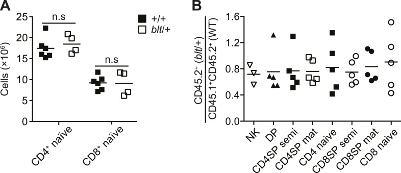 Figure 1—figure supplement 2.