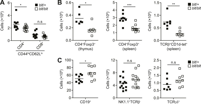 Figure 1—figure supplement 3.