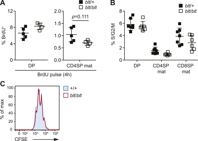 Figure 4—figure supplement 3.