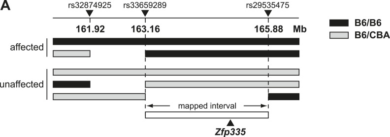 Figure 2—figure supplement 1.