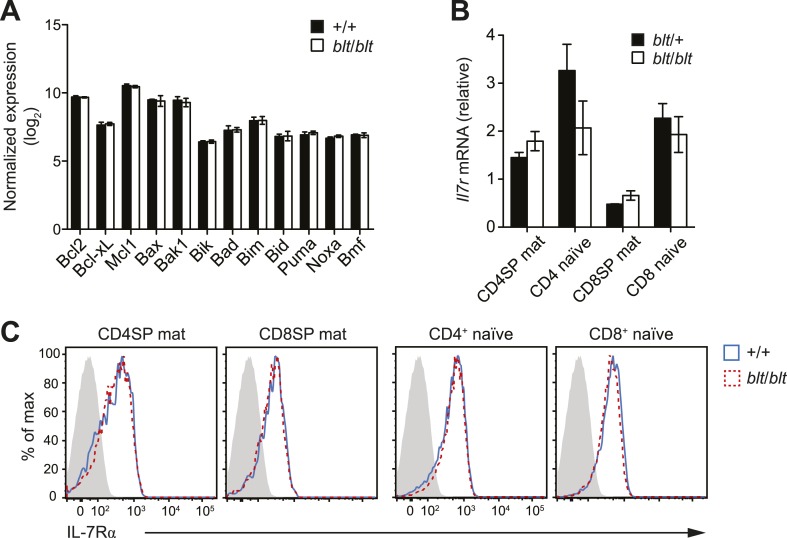 Figure 4—figure supplement 2.