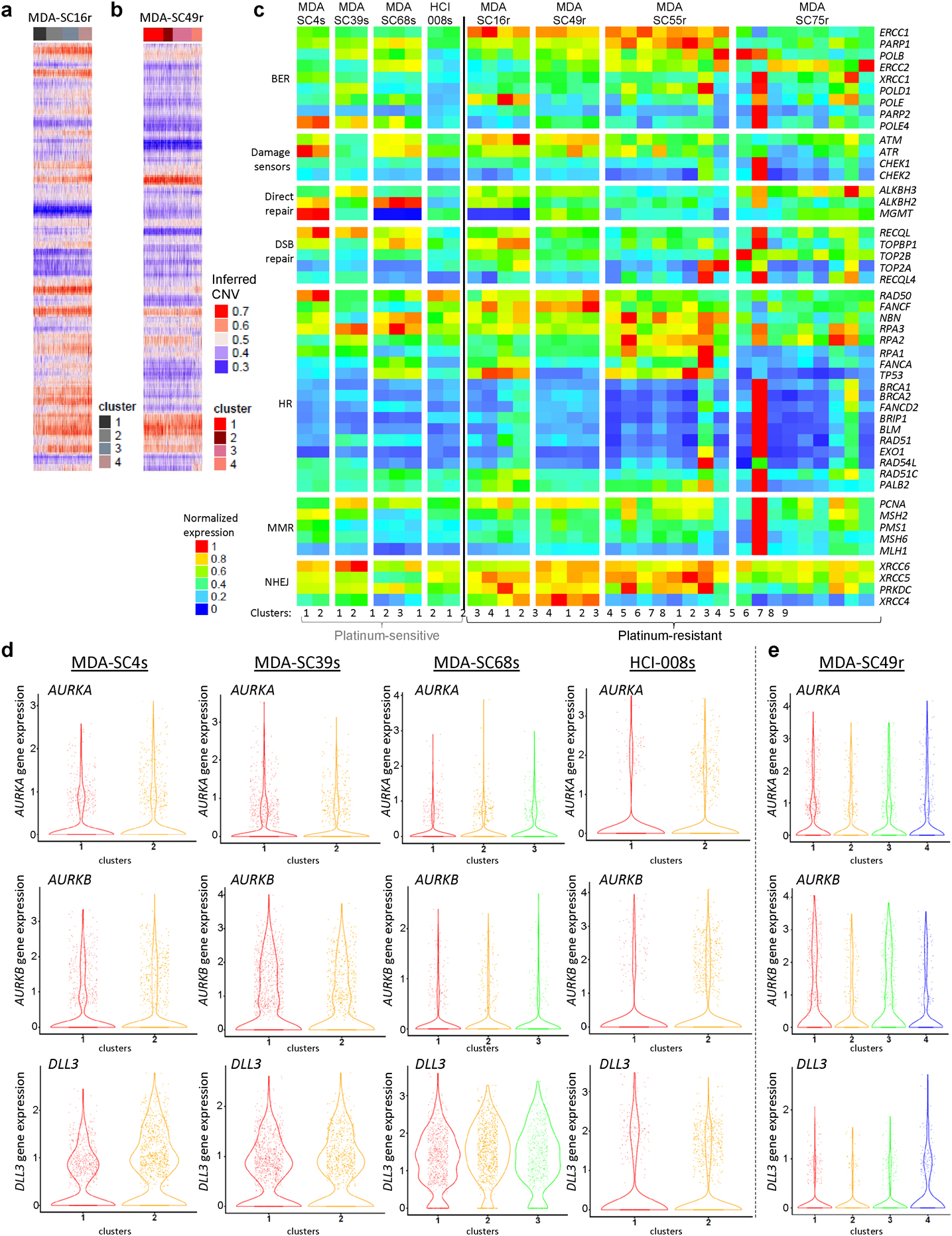 Extended Data Figure 4.