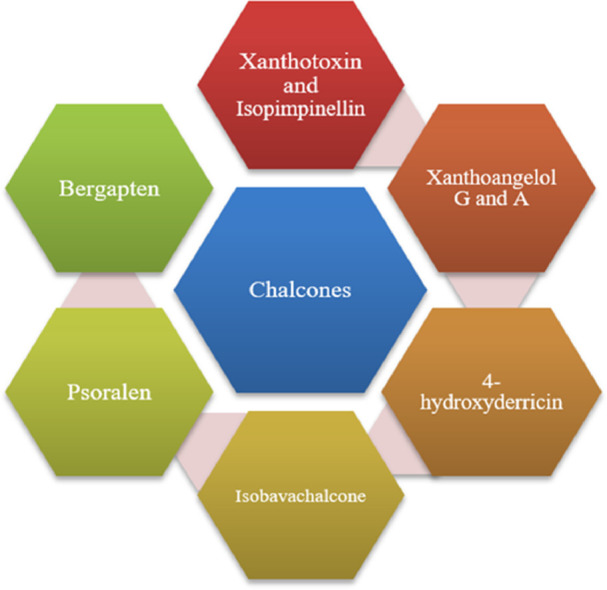 Image, graphical abstract