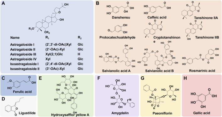 FIGURE 1