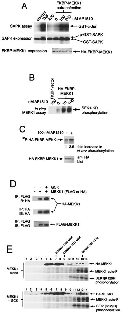 FIG. 9.