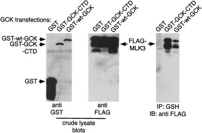 FIG. 8.