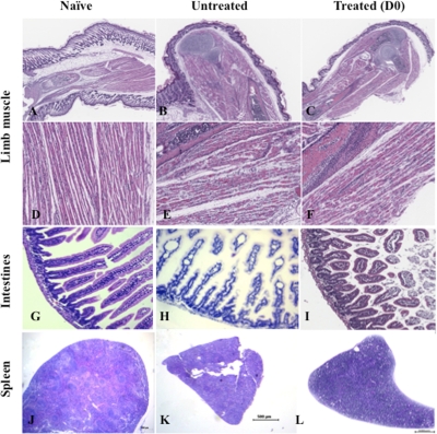 FIG. 9.