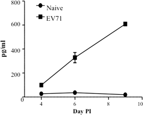 FIG. 1.